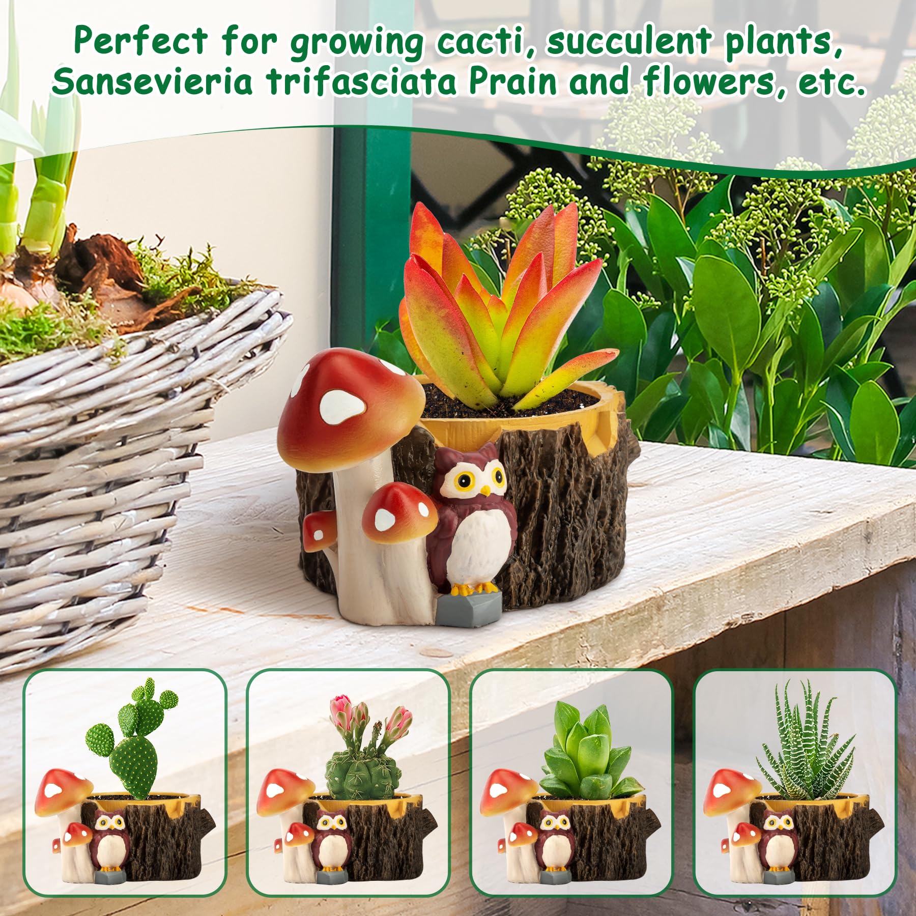 Yiiwinwy Tree-stump planting area detail for small succulents and cacti.
