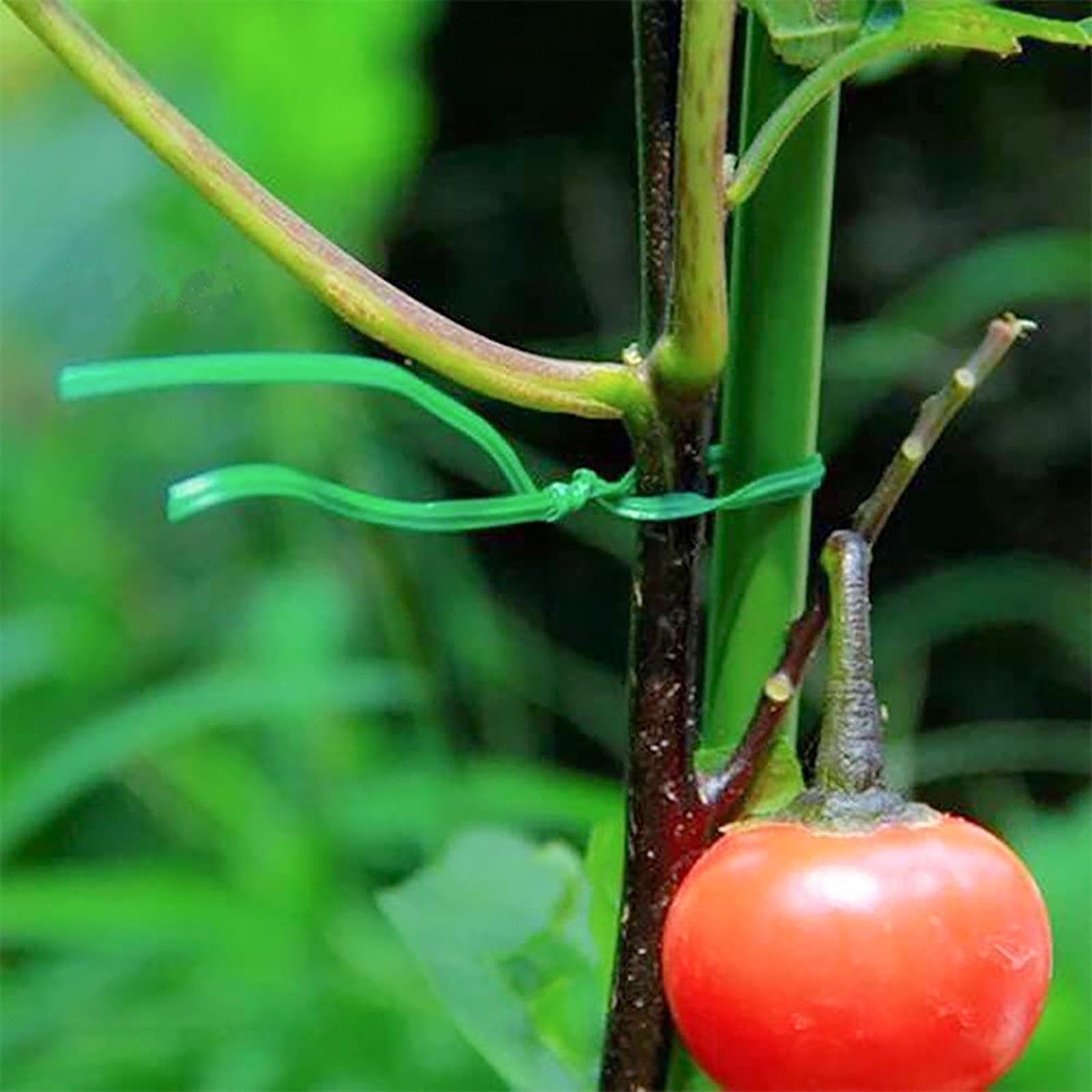 YIKANGHENG 2-piece kit helps bind stems, branches, and vines with reliable hold.
