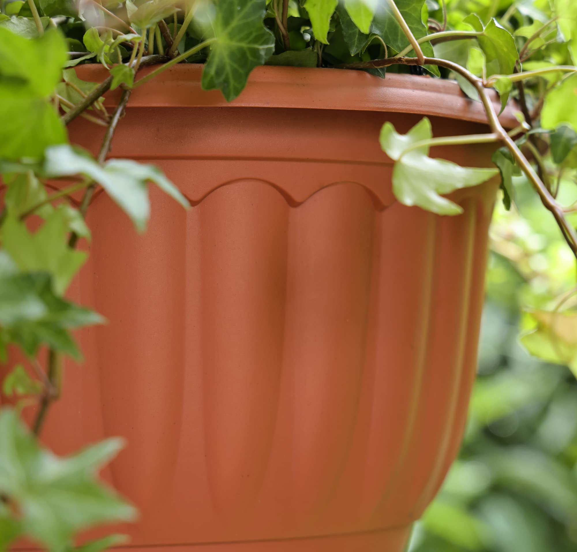YIKUSH hanging planter 12-inch terracotta on a pergola for vibrant blooms