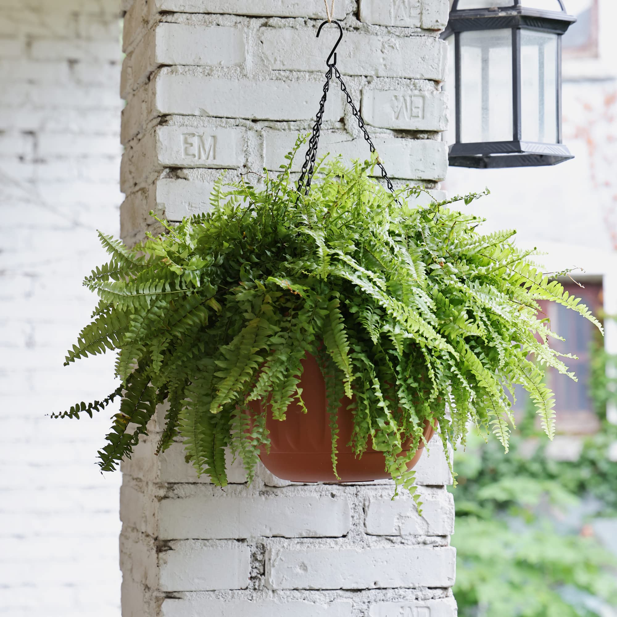 YIKUSH hanging planter indoors setting 12-inch terracotta adds decorative appeal