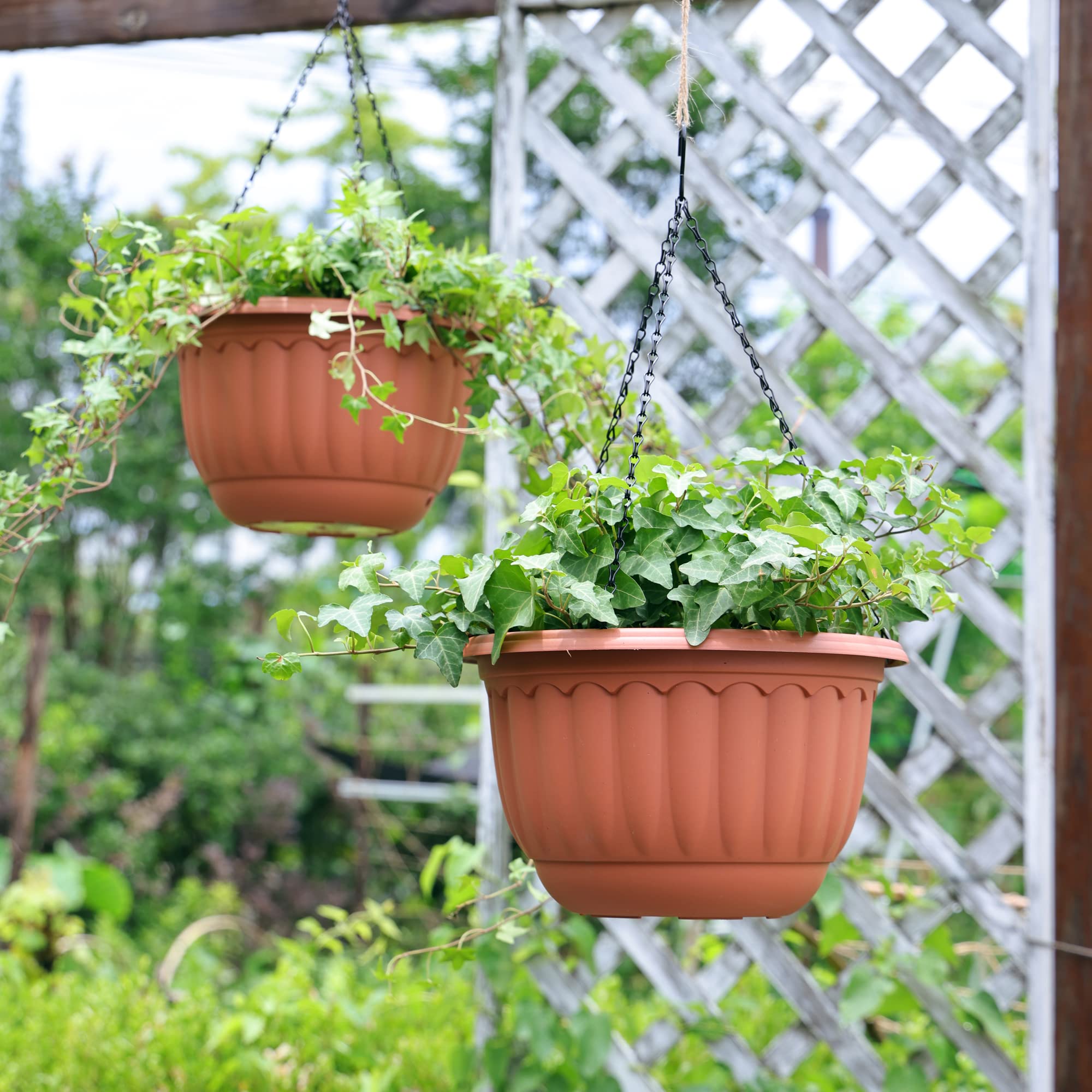 YIKUSH 12-inch terracotta hanging pot with trailing vines indoors