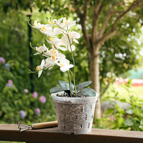 YIKUSH clear pots suited for indoor and outdoor plant care.