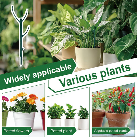 YILEGSYO Easy setup stake for indoor and outdoor plants