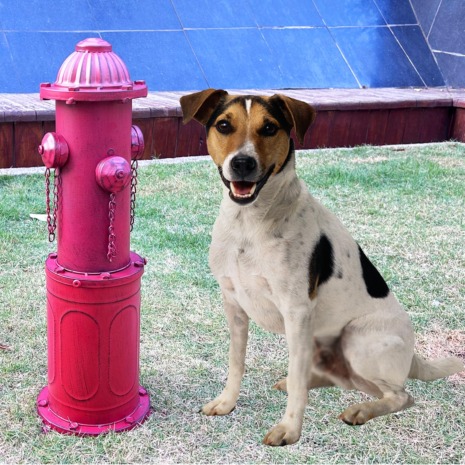 YiLifebes three stakes ensure secure installation on various terrains.