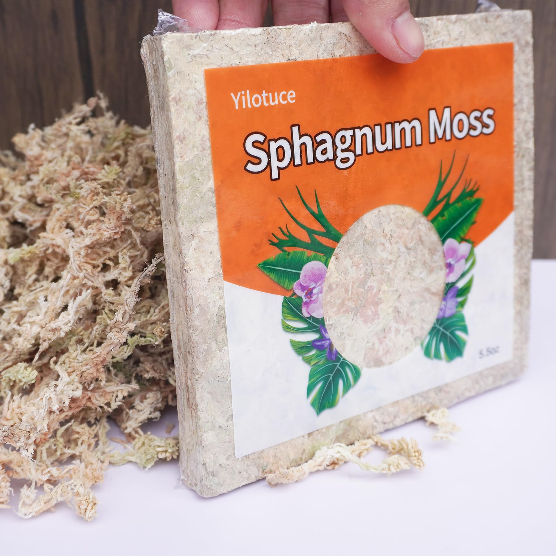 Yilotuce sphagnum moss wet puff supports moisture retention for thriving ferns and tropical houseplants