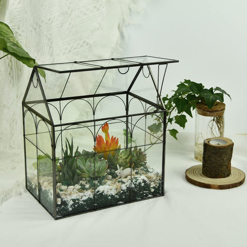 Yimorence house-shaped terrarium display perfect for a table centerpiece