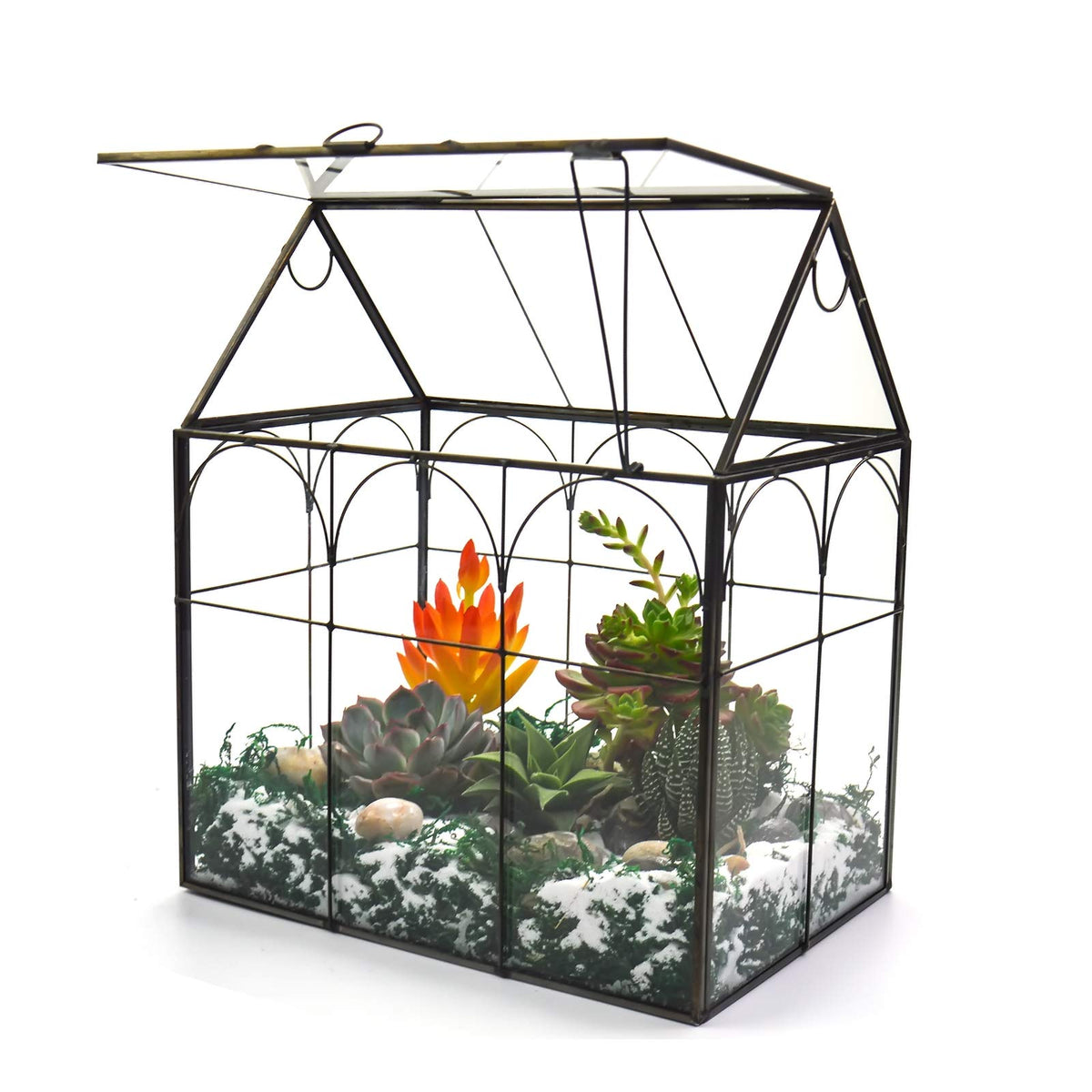Yimorence large tall plant greenhouse terrarium with lid showcased on a desk for tropical display