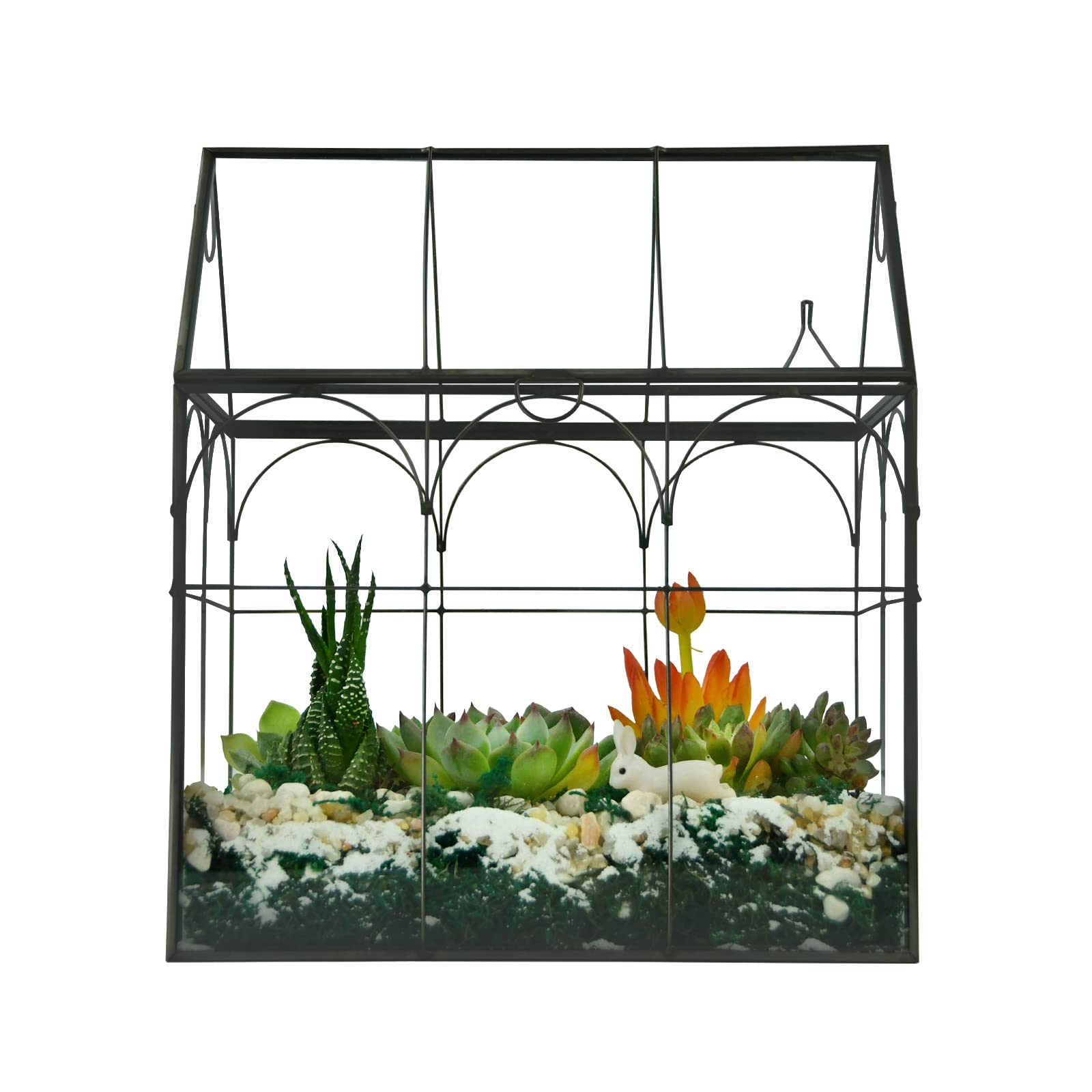 Yimorence reinforced glass with metal accent terrarium adds modern style