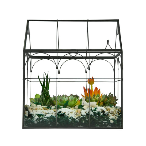 Yimorence reinforced glass with metal accent terrarium adds modern style