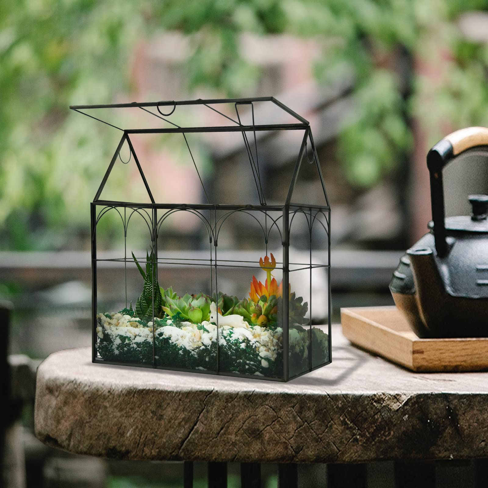 Yimorence succulent moss fern terrarium interior view for observing tiny landscapes
