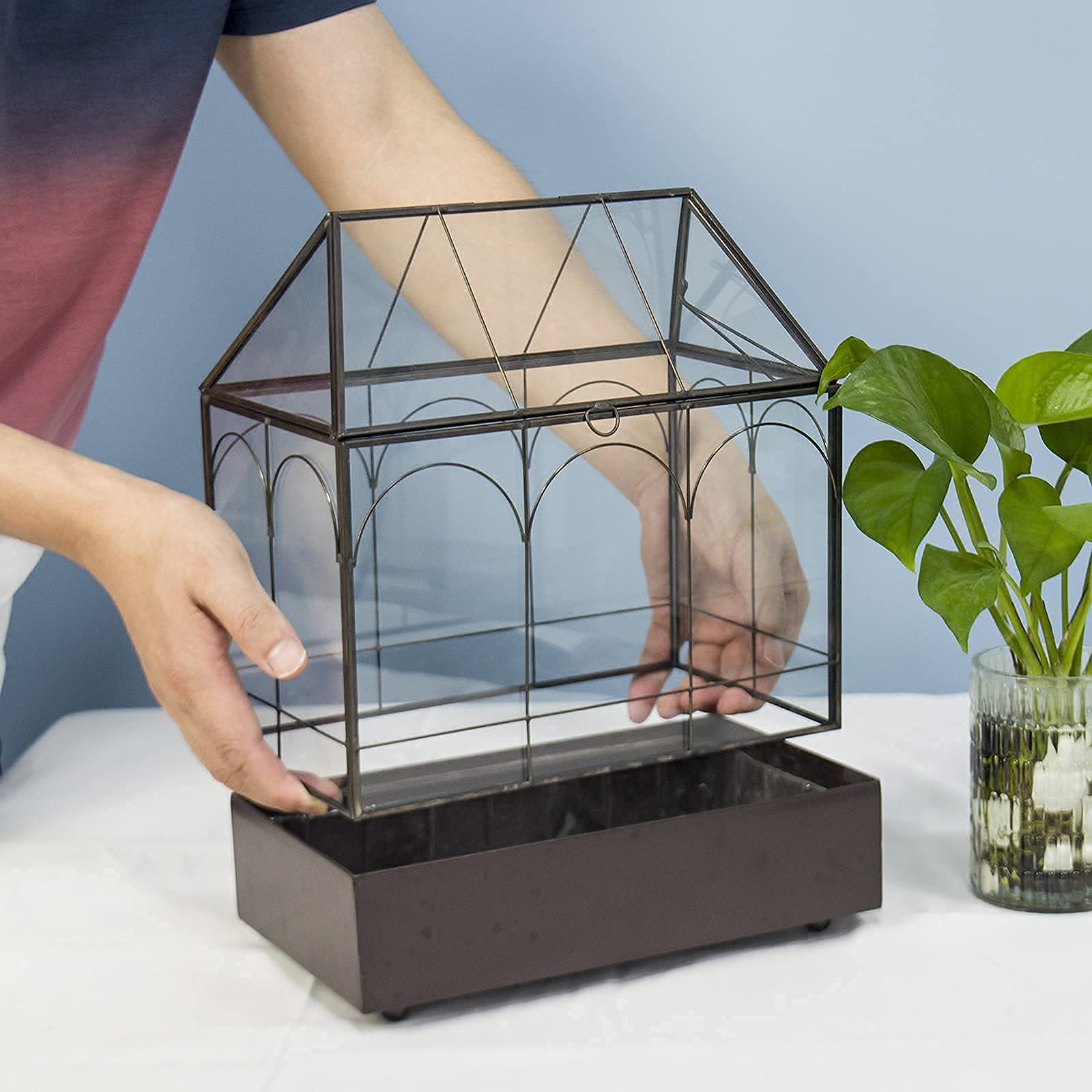YIMORENCE V clear glass terrarium centerpiece enhances indoor decor