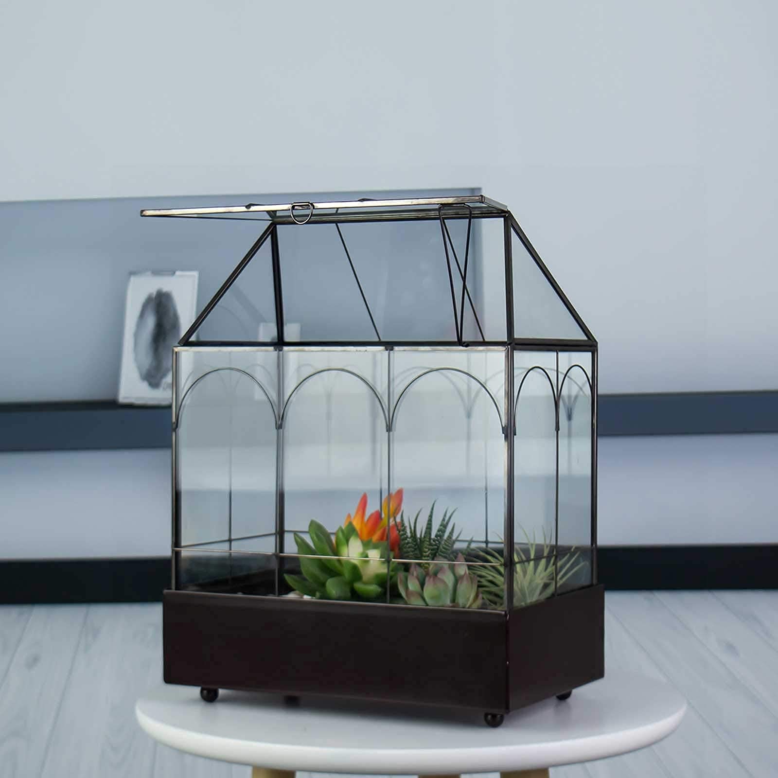 YIMORENCE V desk-friendly greenhouse for orchids and succulents