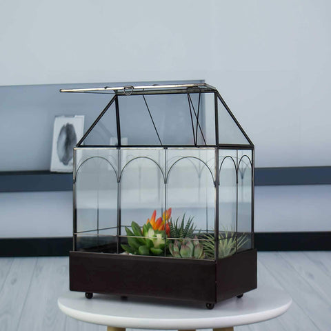 YIMORENCE V desk-friendly greenhouse for orchids and succulents