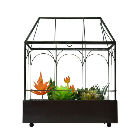 YIMORENCE V swing-lid glass terrarium enabling adjustable airflow