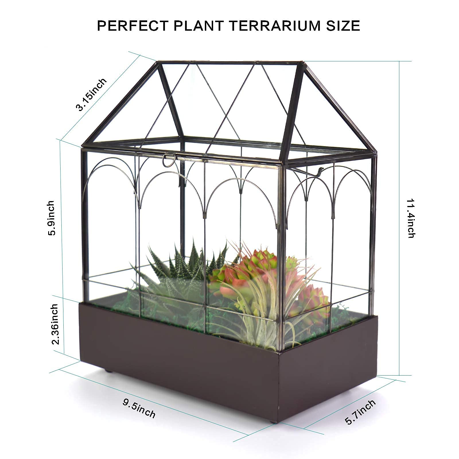YIMORENCE V ventilated lid design supports plant airflow