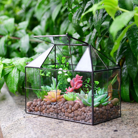 YIMORENCE V clear glass greenhouse terrarium, desk-friendly for small plant displays.