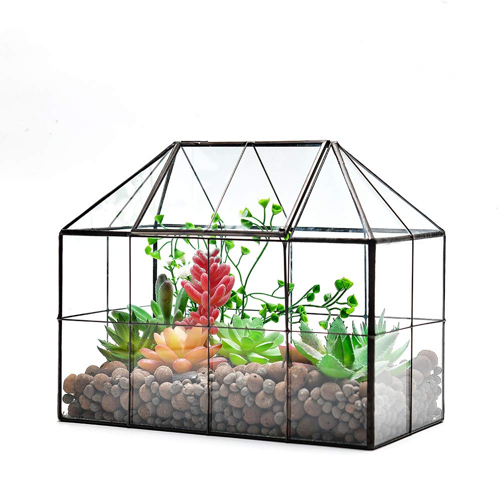 YIMORENCE V 9.8 x 7.9 x 5.9 inch terrarium, versatile display option.