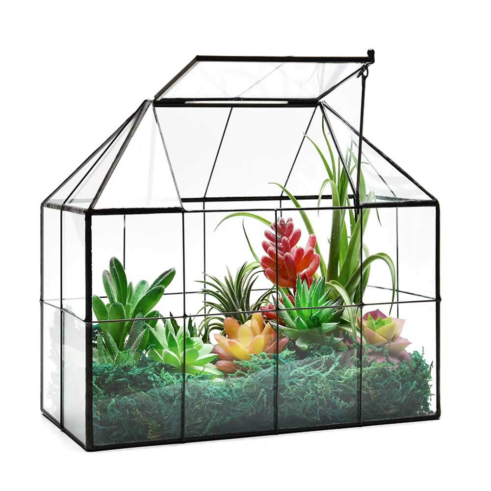 YIMORENCE V large glass terrarium with swing lid, ideal for succulents and moss at home.