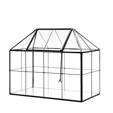 YIMORENCE V spacious glass greenhouse suitable for cacti and ferns