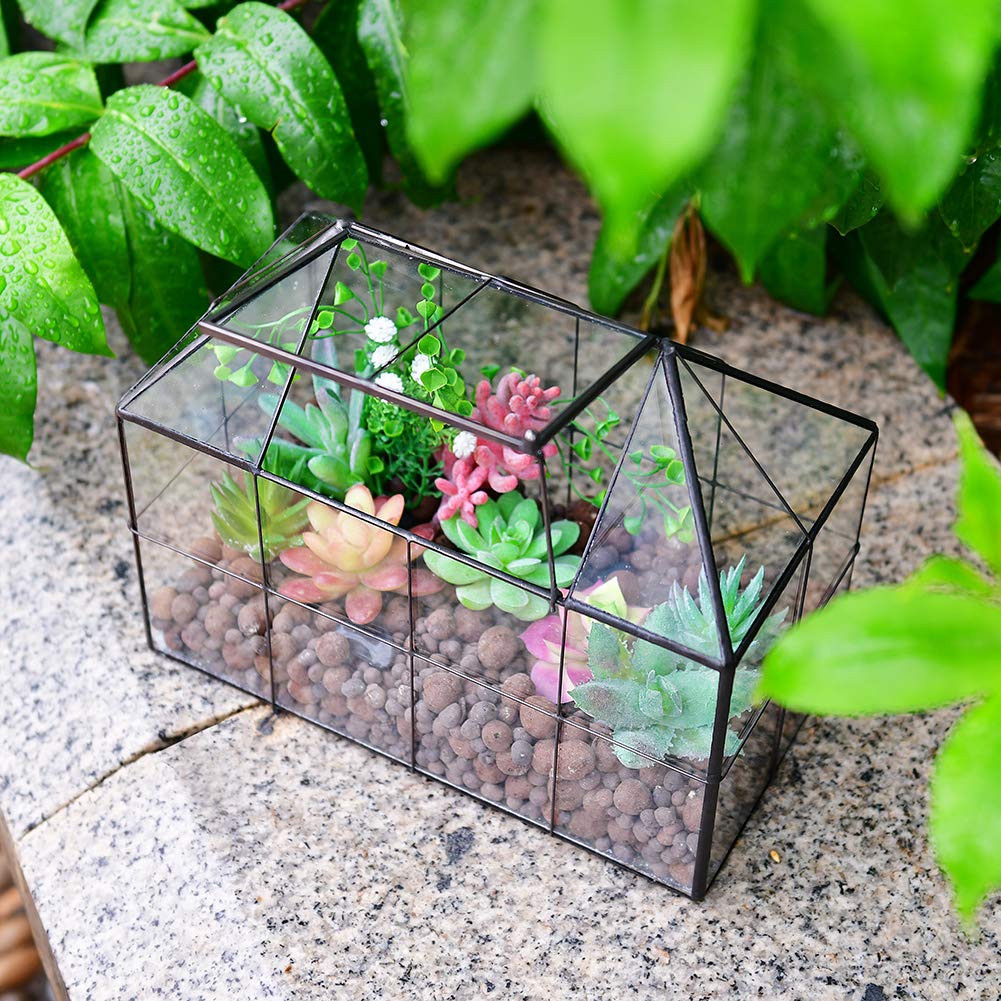YIMORENCE V house-shaped terrarium enhances desk decor and plant setups.