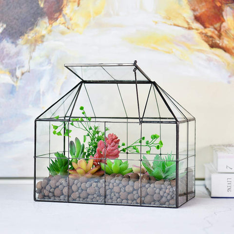 YIMORENCE V ventilated glass terrarium for lush moss and succulent arrangements.