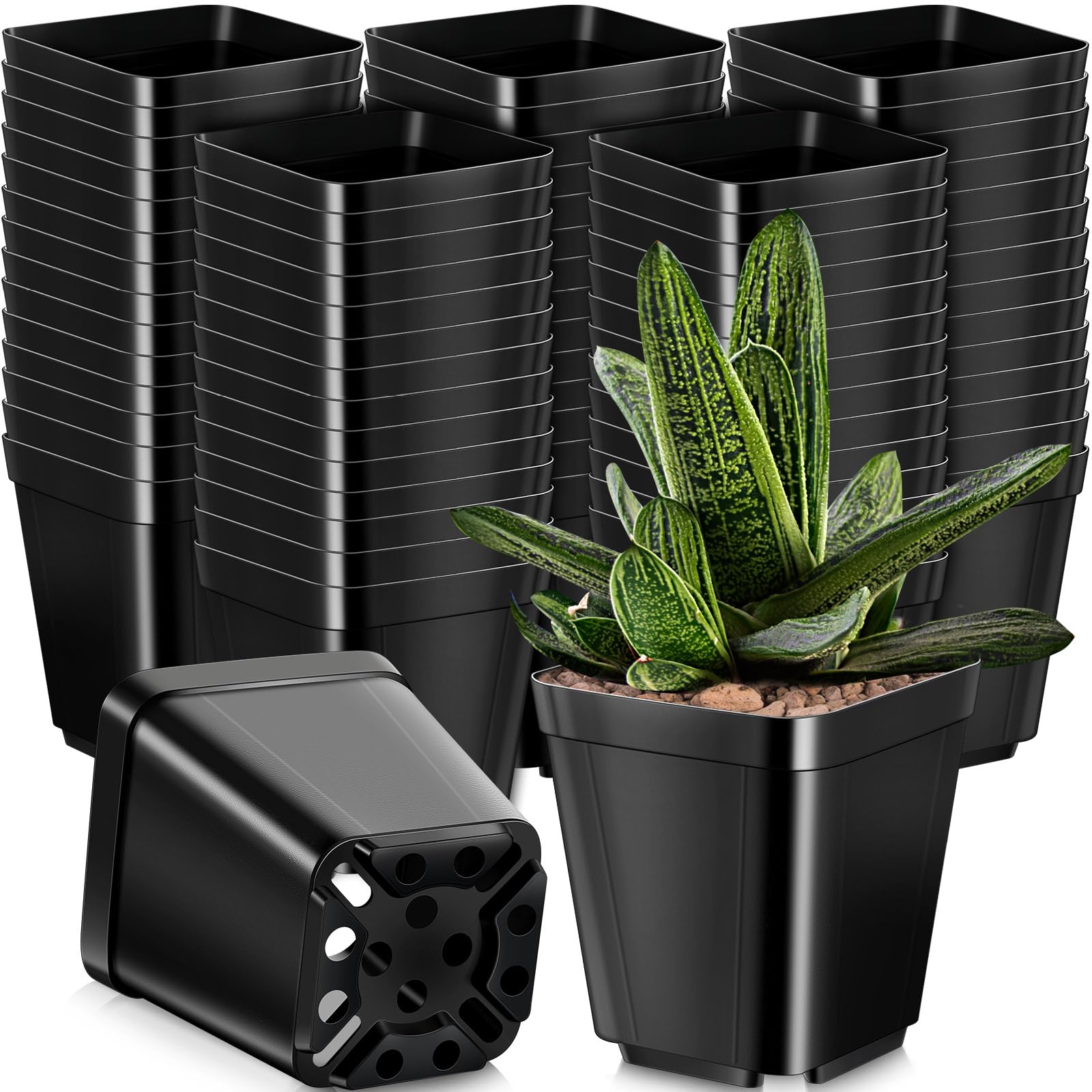 Yinder 4-inch square nursery pots for seedling starts with reliable drainage.