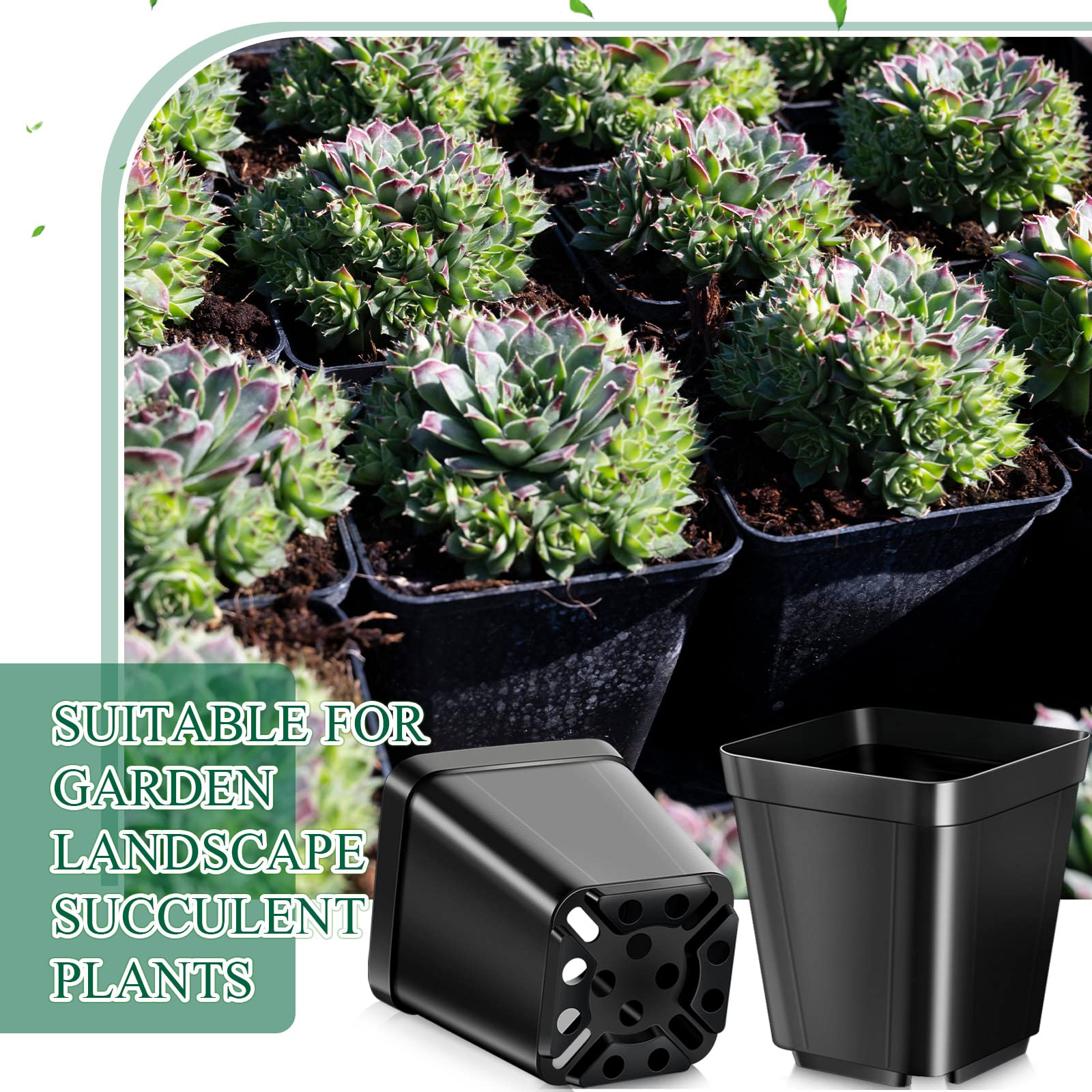 Yinder 4-inch square nursery pot featuring a top rim for easy handling.
