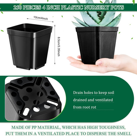 Yinder pot showing drainage holes at the bottom for ventilated soil.