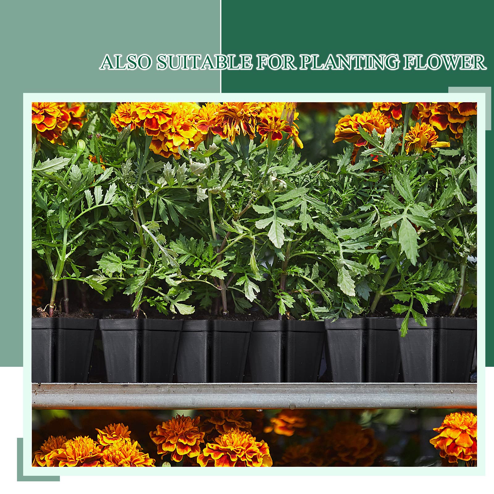 Yinder garden starter pack ideal for flowers, vegetables, and succulents.