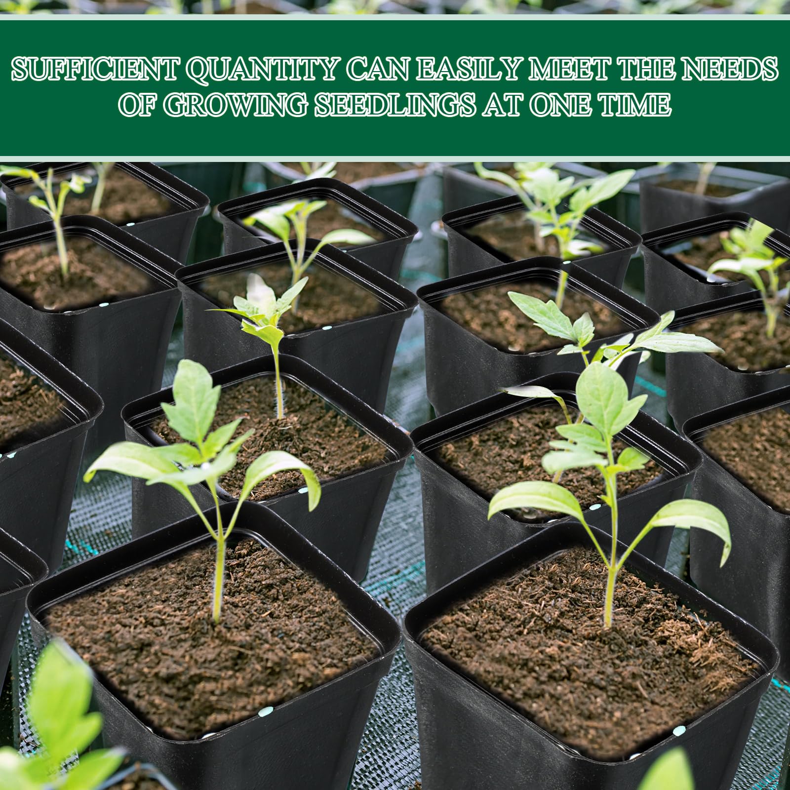 Yinder PP plastic nursery pots in black for versatile plant starts.