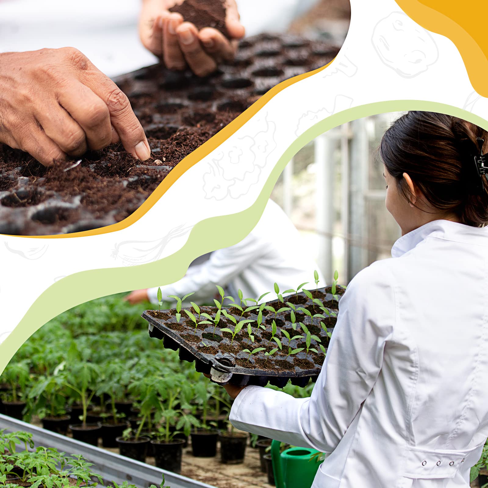 Yinder seed start kit includes trays and markers for propagation