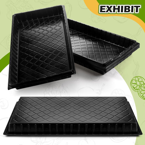Yinder seedling tray multi-pack arranged for busy nursery use.