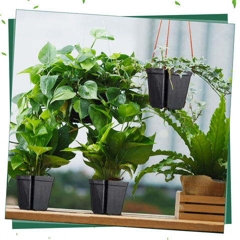 Yinder square seedling planters suitable for indoor and outdoor use.