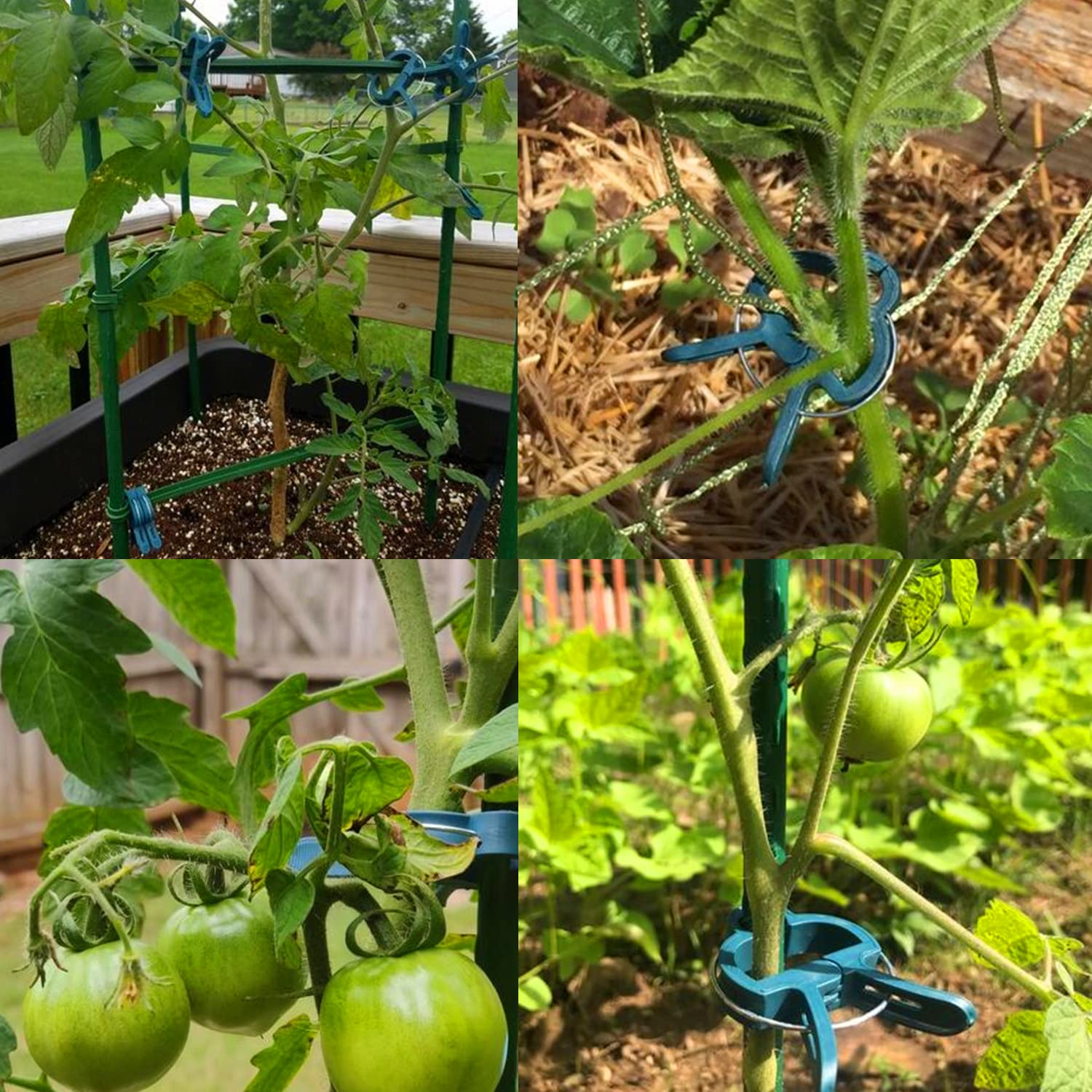 Yinghezu reusable-design clip set providing a durable garden solution