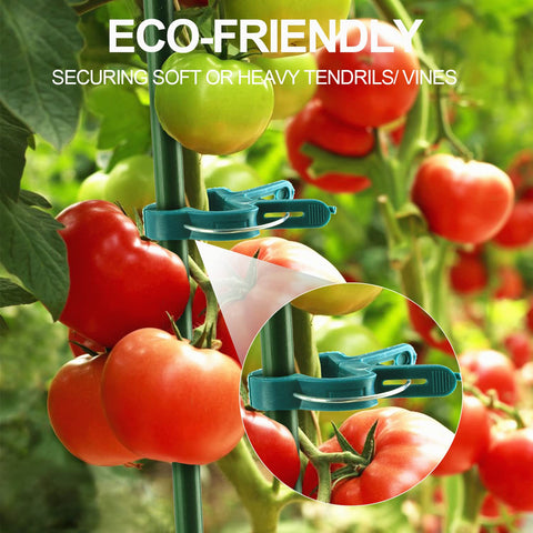 Yinghezu trellis-netting clip attached to garden netting for support