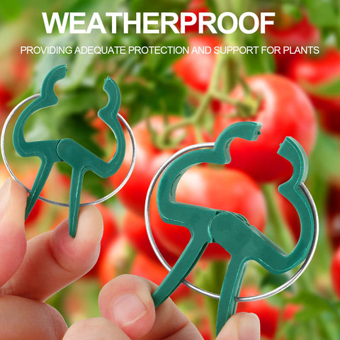 Yinghezu vine-support clip guiding climbing plants along a trellis