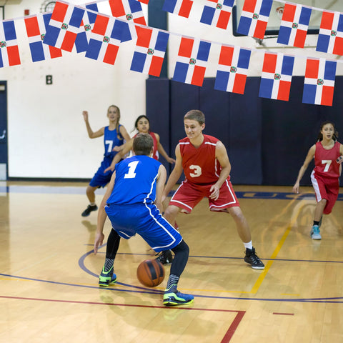 Yingnner Dominican Republic flag banner at a sports event setting.