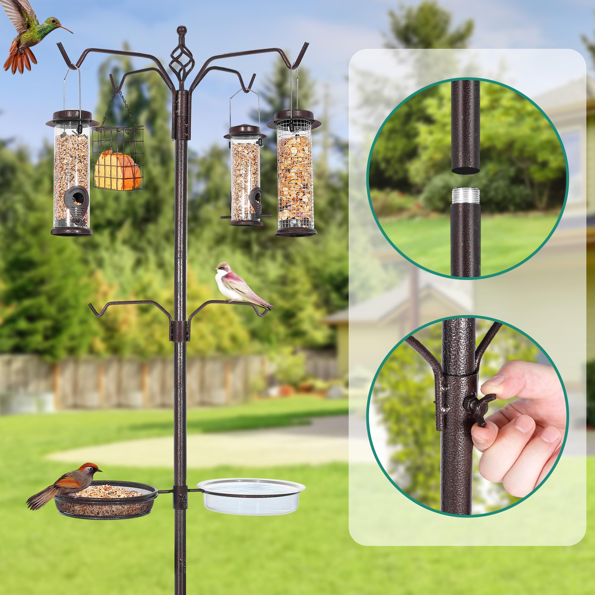 YINGYM backyard wild bird watching setup invites natural viewing from home.