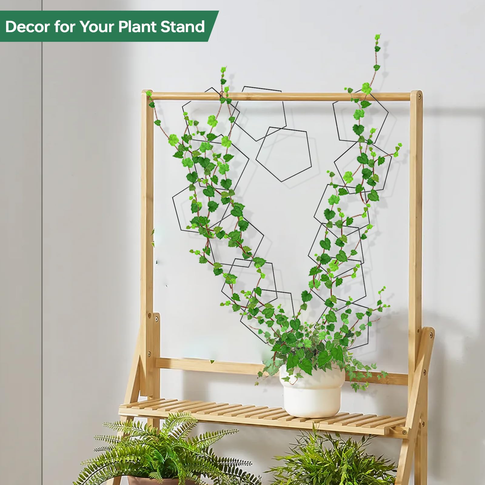 Yinjupu DIY climbing-path demonstrates customizable growth routes
