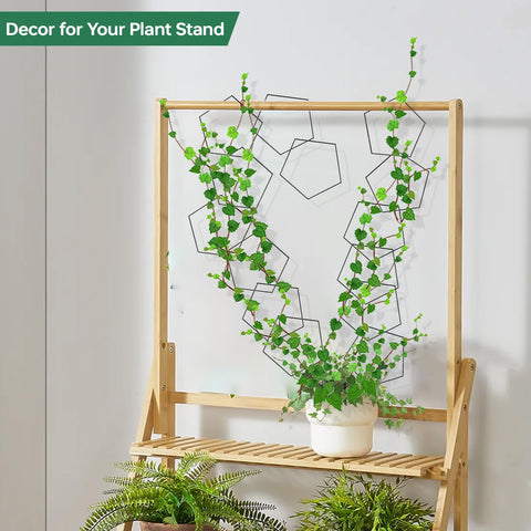 Yinjupu DIY climbing-path demonstrates customizable growth routes