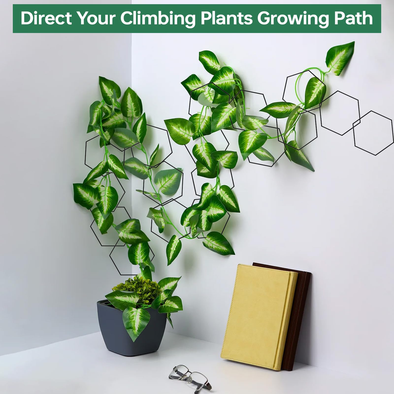Yinjupu fixed hooks with trellis securing climbing plants