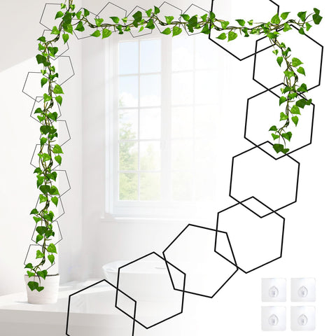 Yinjupu hexagonal rings for indoor plant support and vines