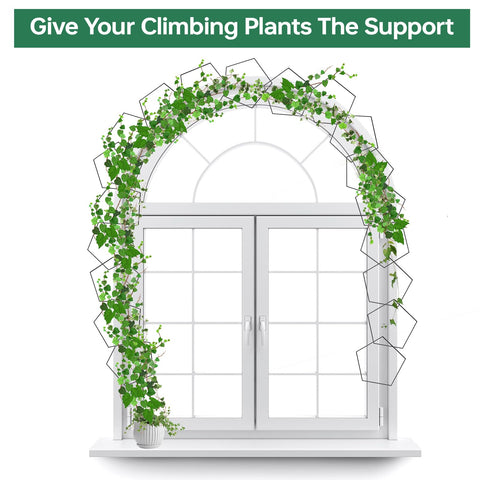 Yinjupu indoor-wall plant support setup for vertical growth