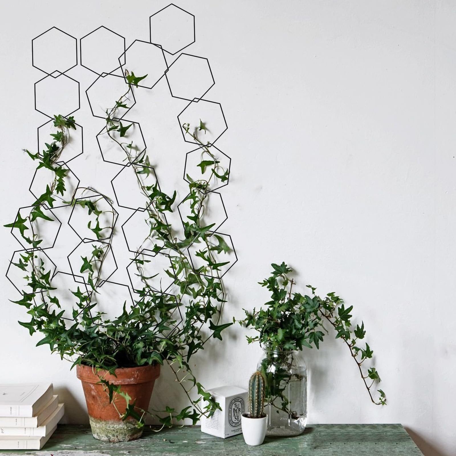 Yinjupu plant growth support system aiding ivy and pothos