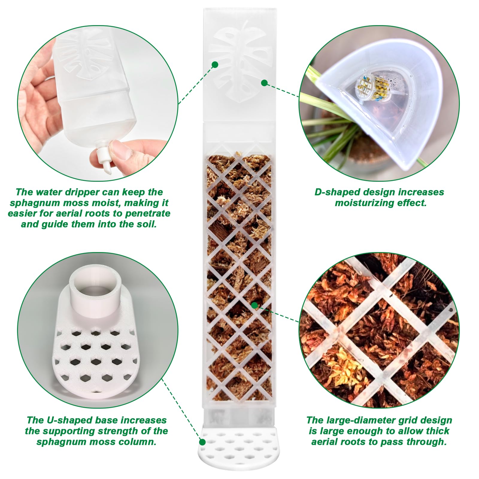 Fertilizer container enables slow-release feeding to roots.