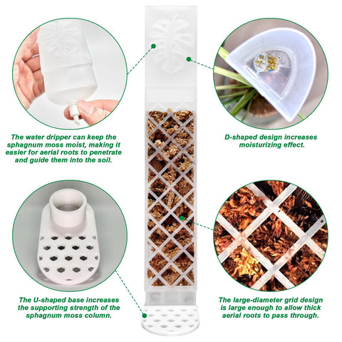 Fertilizer container enables slow-release feeding to roots.