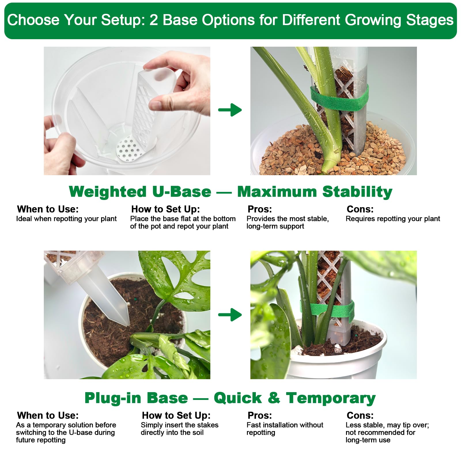 Grid structure lets large roots pass through the moss easily.