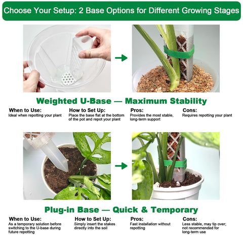 Grid structure lets large roots pass through the moss easily.