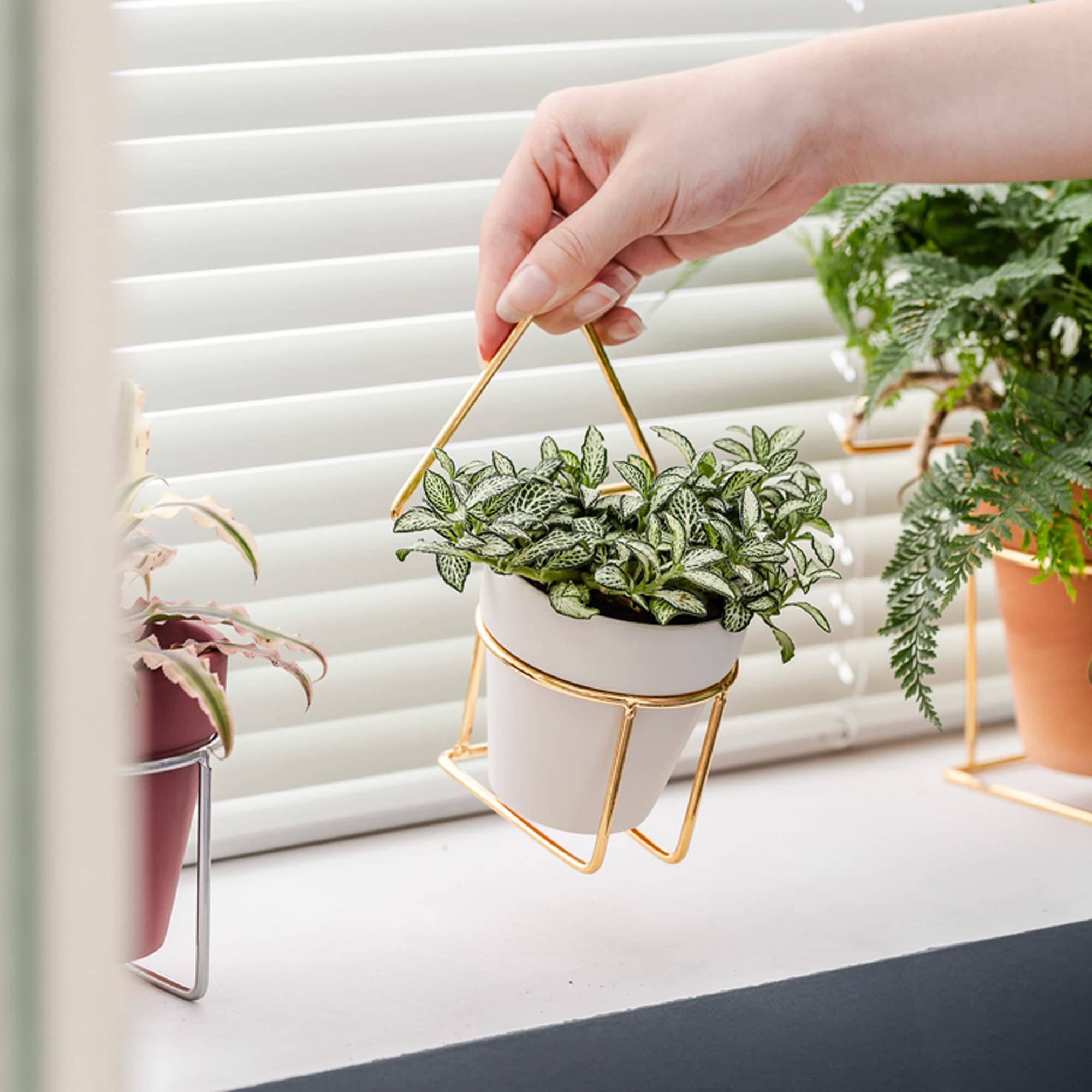 Yishang indoor-outdoor white pot for versatile plant displays