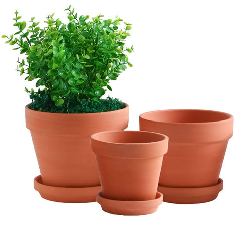 Yishang large terracotta pot with drainage hole promotes healthier root airflow.